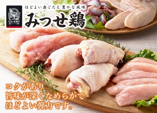 株式会社ヨコオ様