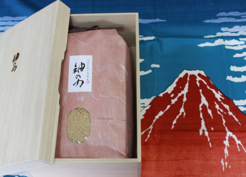 自然栽培園北村様